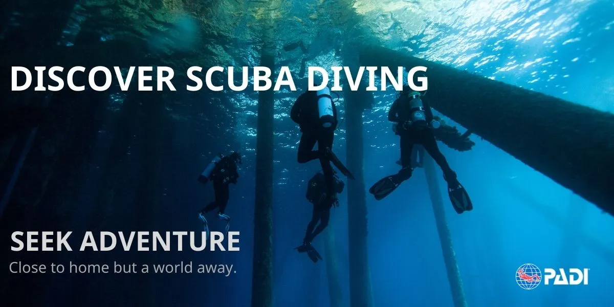 PADI Discover Scuba Diving