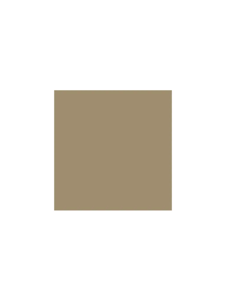 WES Casuals Beige Relaxed Fit Cargo Shorts